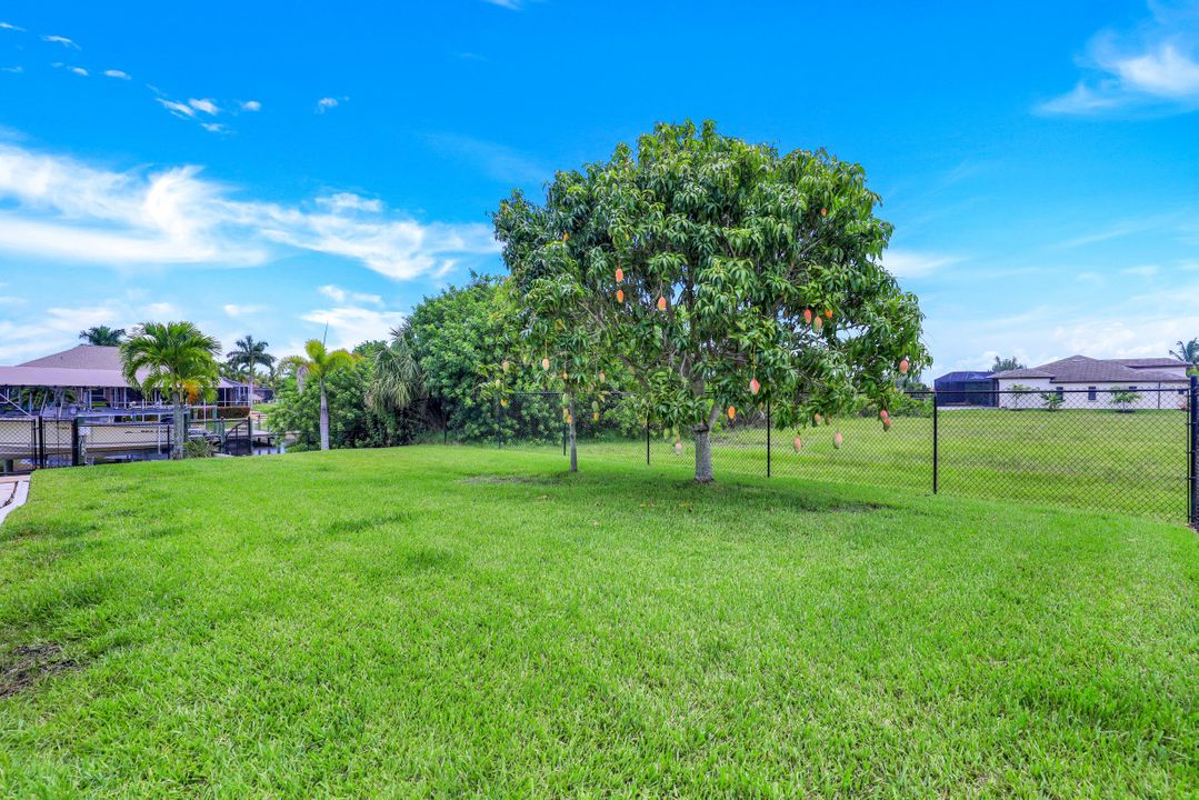 1434 NW 38th Pl, Cape Coral, FL 33993