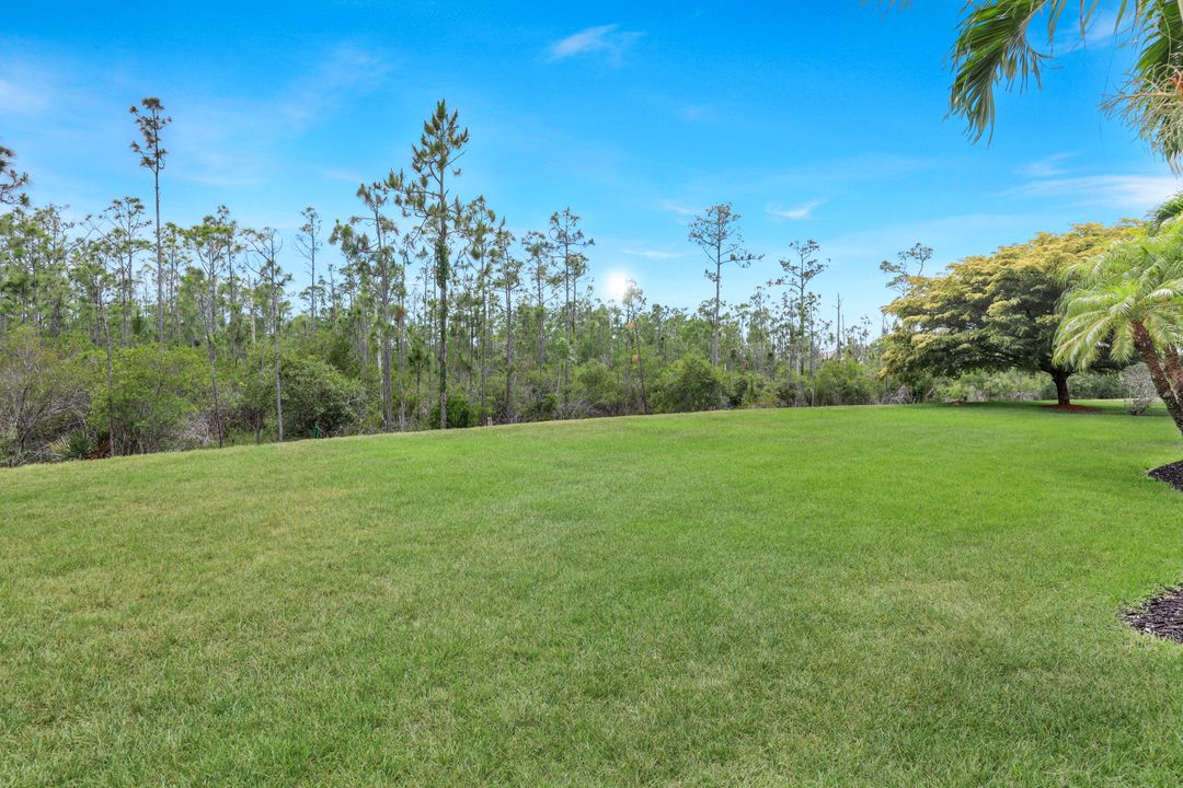 21203 Terni Ct, Estero, FL 33928