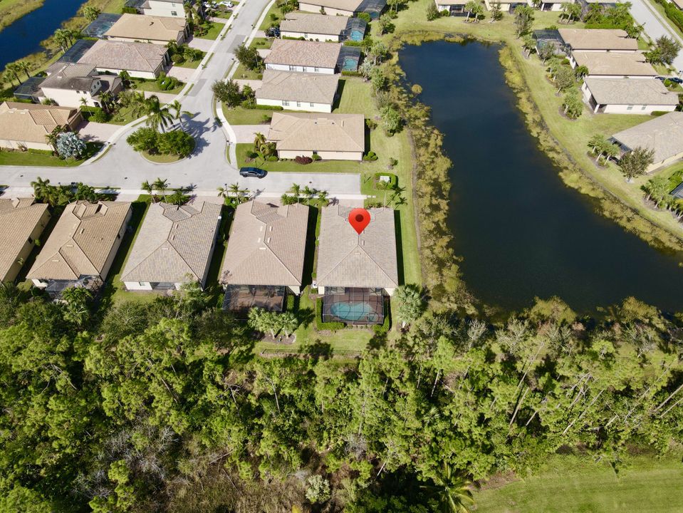 20535 Black Tree Ln, Estero, FL 33928