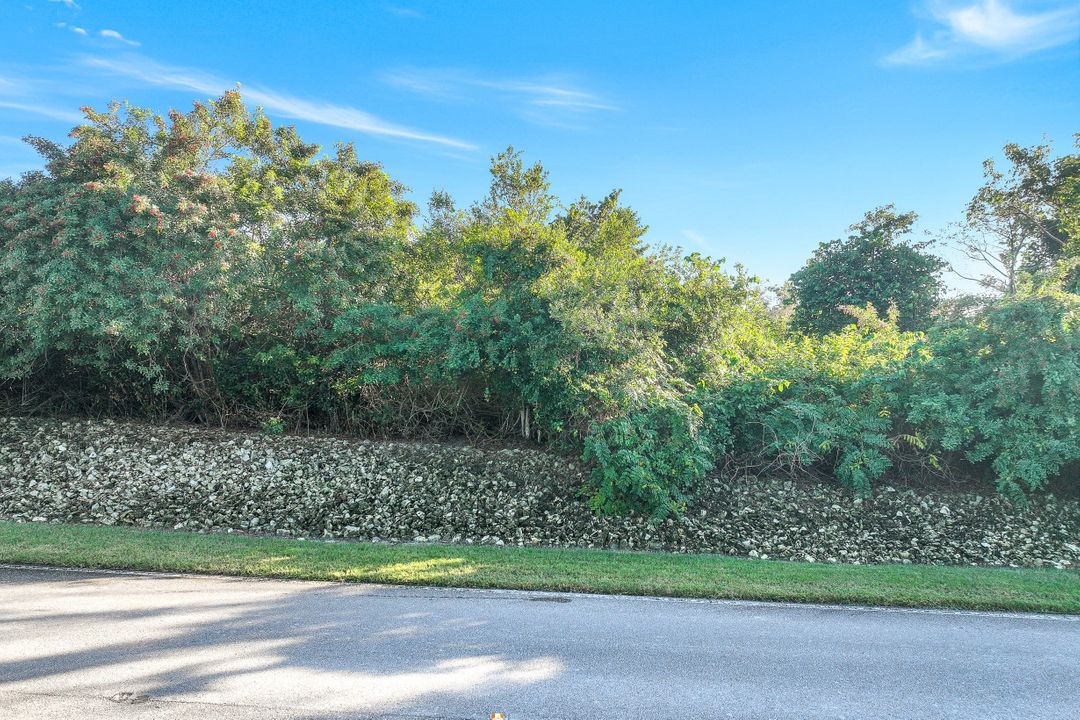 1254 Blue Hill Creek Dr, Marco Island, FL 34145